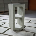 Company Uses Algae to Develop Masonry Blocks with Help from Autodesk, and Microsoft