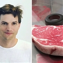 Ashton Kutcher Group Teams with Bioprinted Alt Meat Startup MeaTech