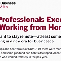 (Infographic) HBS -  Most Professionals Have Excelled While Working from Home