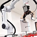 The World's Most Dexterous Fresh Produce Packing Robot - Wootzano