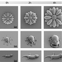 (Paper) 4D Printing of Shape Memory Polymers : From Macro to Micro