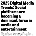 (PDF) Deloitte - Digital Media Trends 2025