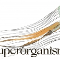 Superorganism Raises $25M To Back Biodiversity Startups