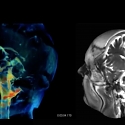 (Paper) New Imaging Tech Offers Incredibly Detailed 3D Videos of Pulsating Brains