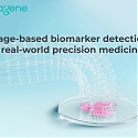 Imagene Nets $21.5M for Cancer Biopsy-Scanning AI