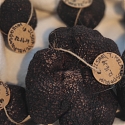 $5M Truffles : Israeli Startup Looks To Market Edible Fungi From Golan Heights