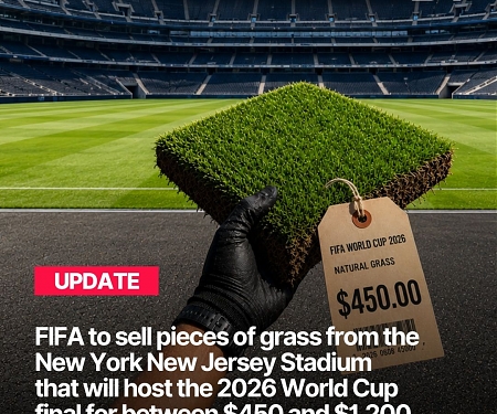 FIFA Selling Pieces Of Grass From World Cup Final For $450