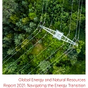(PDF) Bain - Global Energy and Natural Resources Report 2021