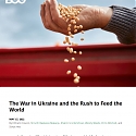 (PDF) BCG - The War in Ukraine and the Rush to Feed the World