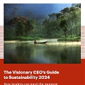 (PDF) Bain - The Visionary CEO’s Guide to Sustainability 2024