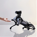 Xiaomi Lets More Pooch-like CyberDog 2 Off The Leash