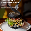 (PDF) BCG - The Untapped Climate Opportunity in Alternative Proteins