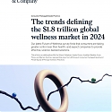 (PDF) Mckinsey - The Trends Defining The $1.8 Trillion Global Wellness Market in 2024
