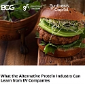 (PDF) BCG - What the Alternative Protein Industry Can Learn from EV Companies