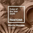 The 2025 Color Of The Year - Mocha Mousse