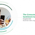 (PDF) BCG - The Consumer Sentiment : November 2021