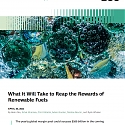 (PDF) BCG - What It Will Take to Reap the Rewards of Renewable Fuels